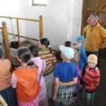 Tehenészet haladóknak Tehenészet haladóknak