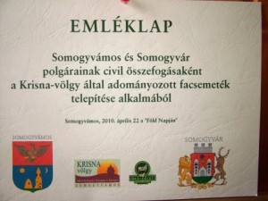 DSCF4869