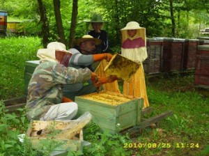 IMG_1823