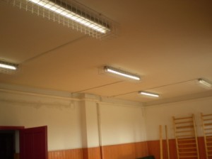 P8260428 P8260428