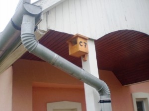 Madárodú
