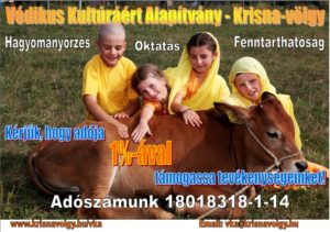 egyszázalék