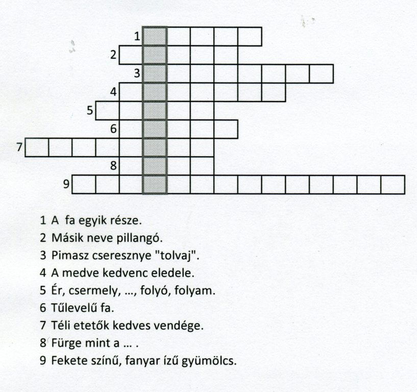Öko rejtvény 1.
