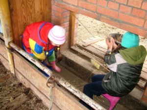 seva a ghosalában 062